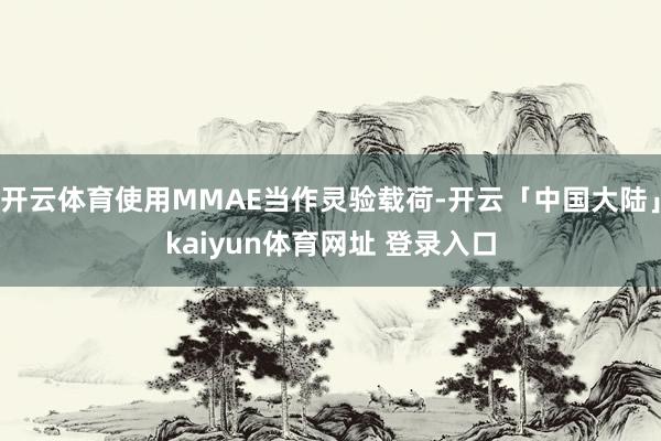 开云体育使用MMAE当作灵验载荷-开云「中国大陆」kaiyun体育网址 登录入口