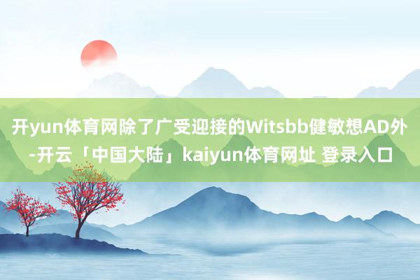 开yun体育网除了广受迎接的Witsbb健敏想AD外-开云「中国大陆」kaiyun体育网址 登录入口