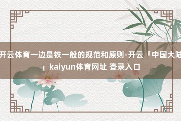 开云体育一边是铁一般的规范和原则-开云「中国大陆」kaiyun体育网址 登录入口