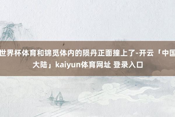 世界杯体育和锦觅体内的陨丹正面撞上了-开云「中国大陆」kaiyun体育网址 登录入口