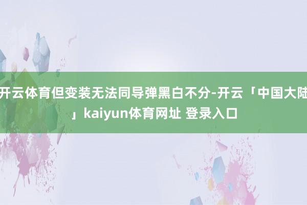 开云体育但变装无法同导弹黑白不分-开云「中国大陆」kaiyun体育网址 登录入口
