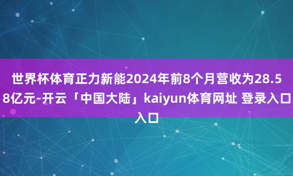 世界杯体育正力新能2024年前8个月营收为28.58亿元-开云「中国大陆」kaiyun体育网址 登录入口
