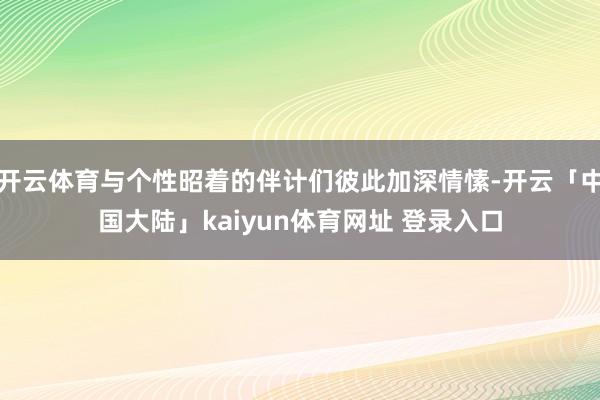 开云体育与个性昭着的伴计们彼此加深情愫-开云「中国大陆」kaiyun体育网址 登录入口