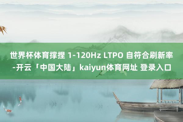 世界杯体育撑捏 1-120Hz LTPO 自符合刷新率-开云「中国大陆」kaiyun体育网址 登录入口