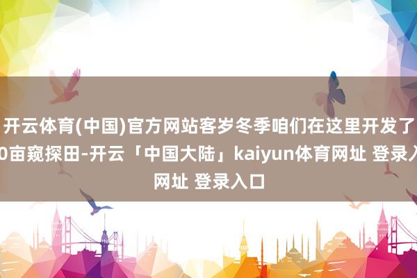 开云体育(中国)官方网站客岁冬季咱们在这里开发了800亩窥探田-开云「中国大陆」kaiyun体育网址 登录入口