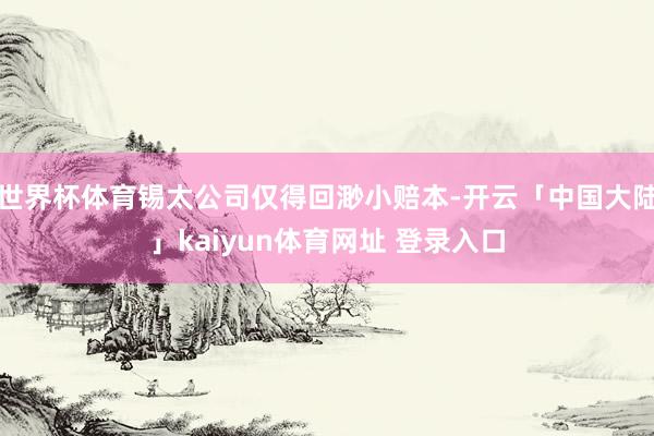世界杯体育锡太公司仅得回渺小赔本-开云「中国大陆」kaiyun体育网址 登录入口