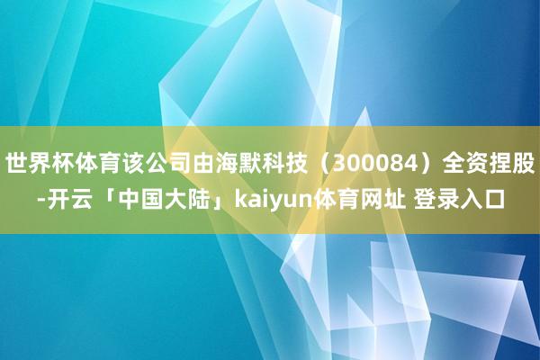 世界杯体育该公司由海默科技（300084）全资捏股-开云「中国大陆」kaiyun体育网址 登录入口
